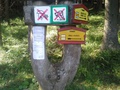 Zákaz vstupu do lesa (autor: Marek Hudáček)