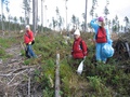 Dobrovoľníci pri zbieraní odpadkov počas akcie Čisté hory pod Hrebienkom (autor: Táňa Hoholíková)