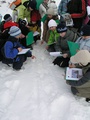 stopy živočíchov na snehu - najvýraznejší pobytový znak v zime (autor: I.Stavný)