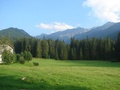 Zverovka od chaty
