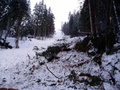 Lavína na Zverovke (autor: Juraj Majerčák)
