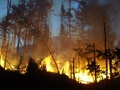 30.7. - 31.7.2005, požiar v Tatrách