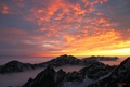 Inverzia