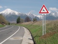 Dopravná značka Zver v úseku štátnej cesty Poprad-Smokovce (autor: Lenka Burdová)