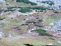 obrázok