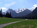 chodniky