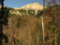 Lykožrútová kalamita v Zadných Meďodoloch v Tatranskej Javorine (autor: Ján Slivinský)