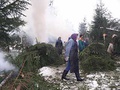 Vyčistenie plôch od haluziny (autor: Ing. I. Stavný)