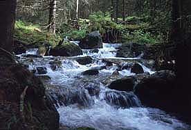 potok